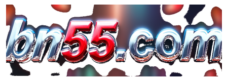 bn55com logo